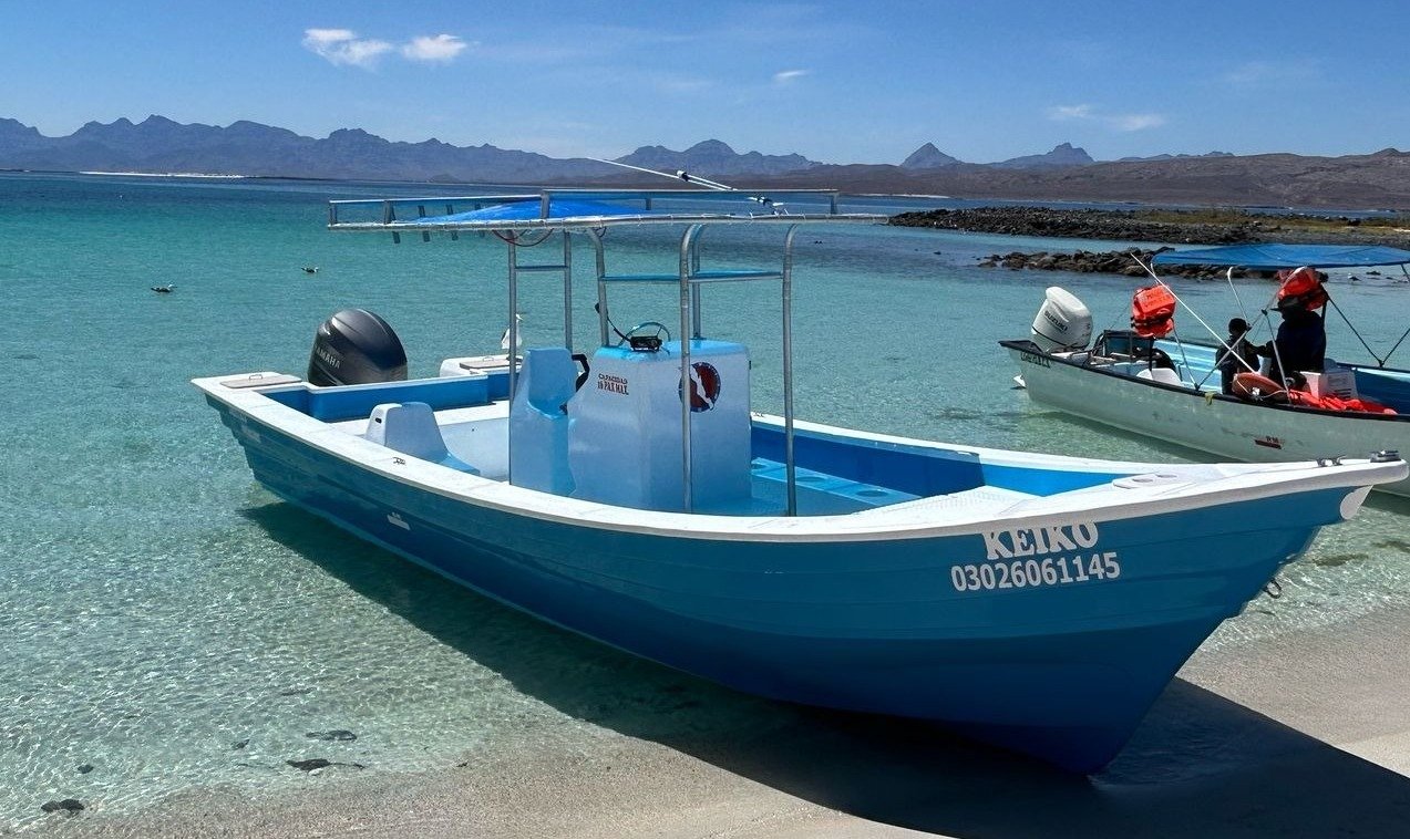 A breathtaking, photorealistic 8K image showcasing a BCS Eco Tours experience. The scene: crystal-clear turquoise waters of the Sea of Cortez meeting a pristine, white-sand beach. A small group of kayakers, led by a guide with a sun hat, paddles along the shoreline. In the background, dramatic desert mountains rise, dotted with cacti and unique rock formations. The lighting is golden hour, casting long shadows and warm hues across the landscape. Focus is sharp on the kayakers, with a slight depth-of-field blurring of the distant mountains. The camera angle is slightly elevated, providing a wide view of the scene. Textures are highly detailed: the ripples in the water, the grains of sand, the rough bark of the cacti. Style: similar to a National Geographic photograph, emphasizing natural beauty and authentic adventure. Props: kayaks, paddles, sun hats, binoculars. Hyperrealistic rendering with vibrant, yet natural colors.